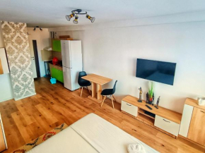 Studio Miruna